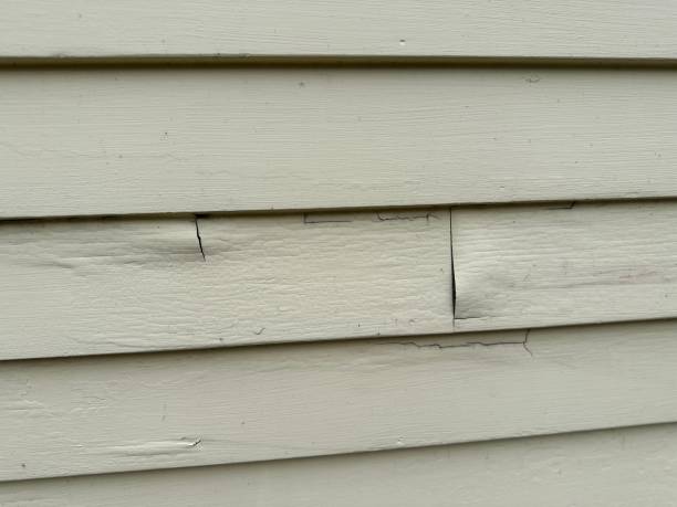 Best Steel Siding Installation  in Wilsonville, AL